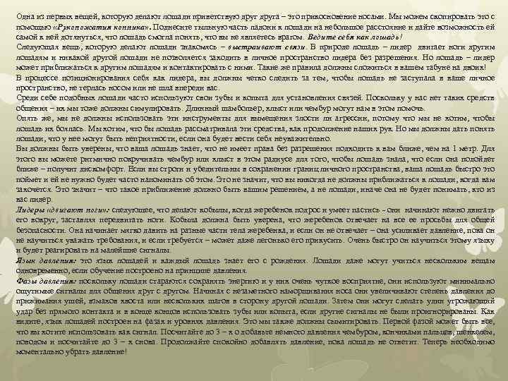 Одна из первых вещей, которую делают лошади приветствую друга – это прикосновение носами. Мы