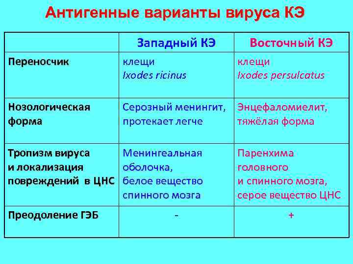 Антигенные варианты вируса КЭ Западный КЭ Восточный КЭ Переносчик клещи Ixodes ricinus Нозологическая форма