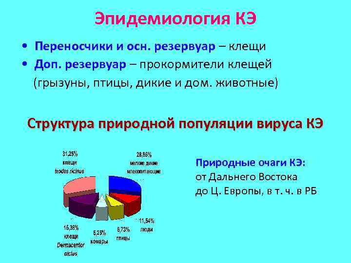 Эпидемиология КЭ • Переносчики и осн. резервуар – клещи • Доп. резервуар – прокормители