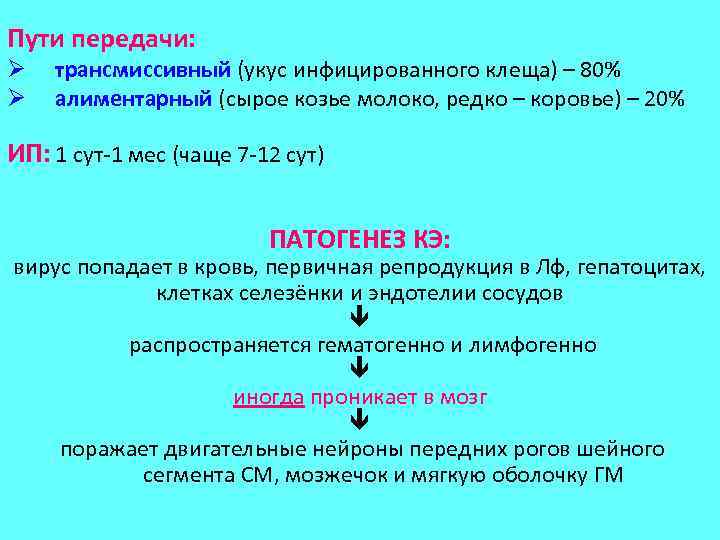 Пути передачи: Ø Ø трансмиссивный (укус инфицированного клеща) – 80% алиментарный (сырое козье молоко,