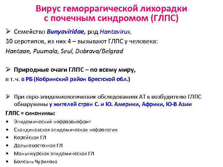 Вирус геморрагической лихорадки с почечным синдромом (ГЛПС) Ø Семейство Bunyaviridae, род Hantavirus, 30 серотипов,