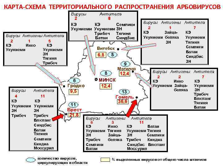 КАРТА-СХЕМА ТЕРРИТОРИАЛЬНОГО РАСПРОСТРАНЕНИЯ АРБОВИРУСОВ Вирусы Антигены Антитела 2 1 5 КЭ Инко КЭ Укуниеми