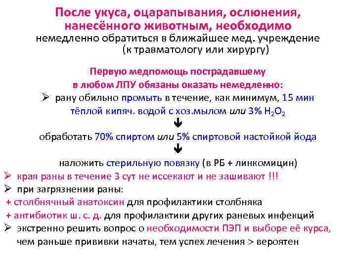 После укуса, оцарапывания, ослюнения, нанесённого животным, необходимо немедленно обратиться в ближайшее мед. учреждение (к