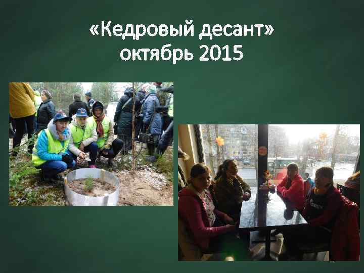  «Кедровый десант» октябрь 2015 12 