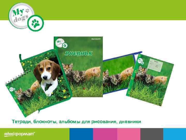 Тетради, блокноты, альбомы для рисования, дневники 