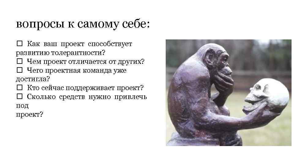 вопросы к самому себе: Как ваш проект способствует развитию толерантности? Чем проект отличается от