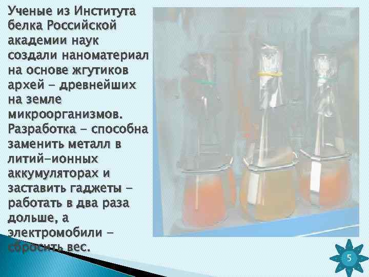 Ученые из Института белка Российской академии наук создали наноматериал на основе жгутиков архей -