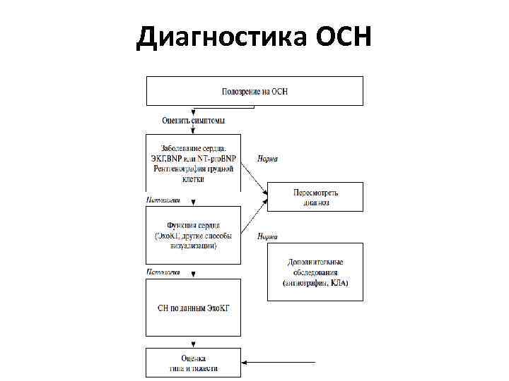 Диагностика ОСН 