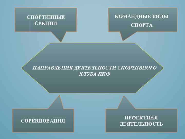 СПОРТИВНЫЕ СЕКЦИИ КОМАНДНЫЕ ВИДЫ СПОРТА НАПРАВЛЕНИЯ ДЕЯТЕЛЬНОСТИ СПОРТИВНОГО КЛУБА ППФ СОРЕВНОВАНИЯ ПРОЕКТНАЯ ДЕЯТЕЛЬНОСТЬ 