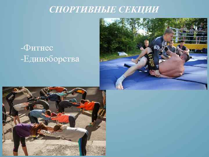 СПОРТИВНЫЕ СЕКЦИИ -Фитнес -Единоборства 