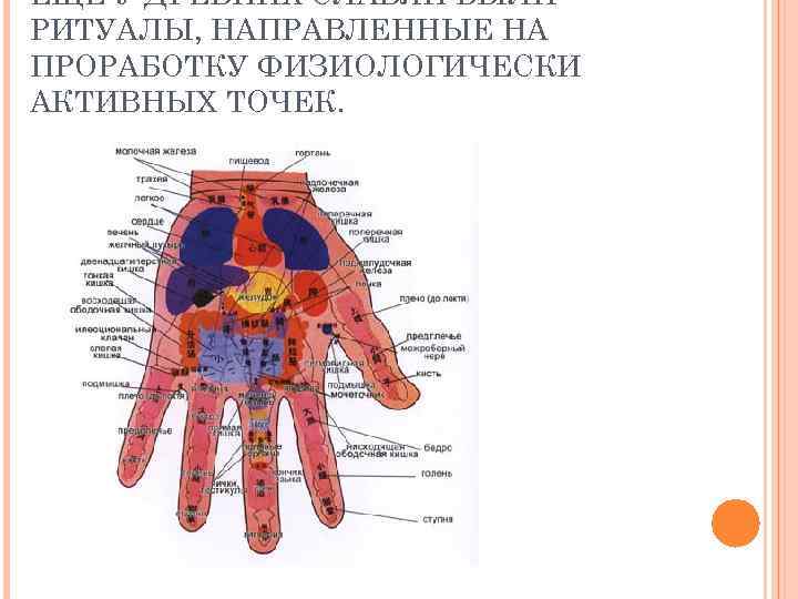 ЕЩЁ У ДРЕВНИХ СЛАВЯН БЫЛИ РИТУАЛЫ, НАПРАВЛЕННЫЕ НА ПРОРАБОТКУ ФИЗИОЛОГИЧЕСКИ АКТИВНЫХ ТОЧЕК. 