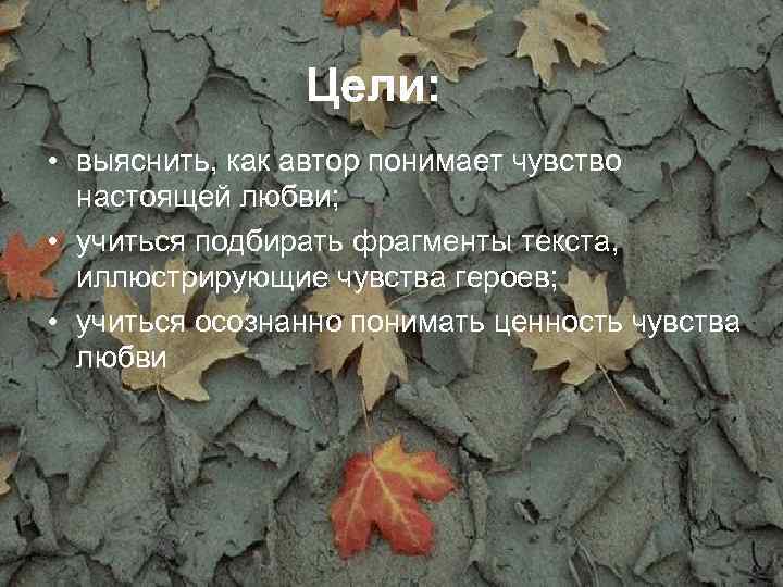 Цели: • выяснить, как автор понимает чувство настоящей любви; • учиться подбирать фрагменты текста,