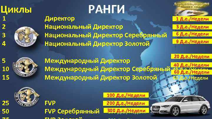 Циклы 1 2 3 4 5 10 15 25 50 . РАНГИ Директор Национальный