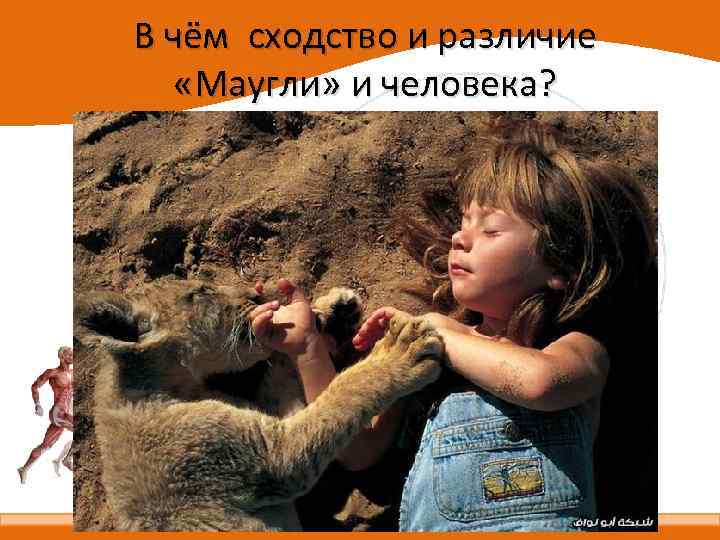 В чём сходство и различие «Маугли» и человека? 