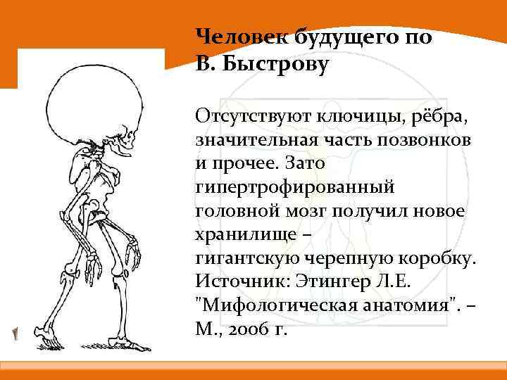 Человек будущего по В. Быстрову Отсутствуют ключицы, рёбра, значительная часть позвонков и прочее. Зато