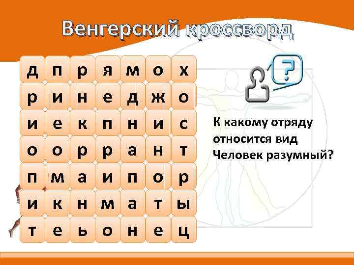 Венгерский кроссворд д р и о п и т п и е о м