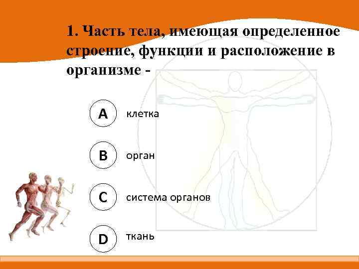 Свободное тело имеет