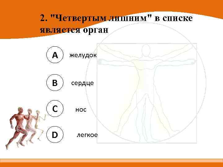 2. "Четвертым лишним" в списке является орган A желудок B сердце C нос D