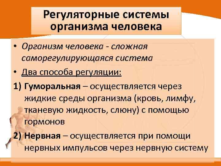 Каковы функции организма. Регуляторные системы организма человека. Регуляторная система органов. 