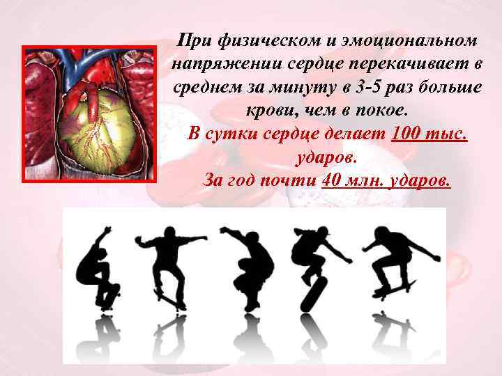 При физическом и эмоциональном напряжении сердце перекачивает в среднем за минуту в 3 -5