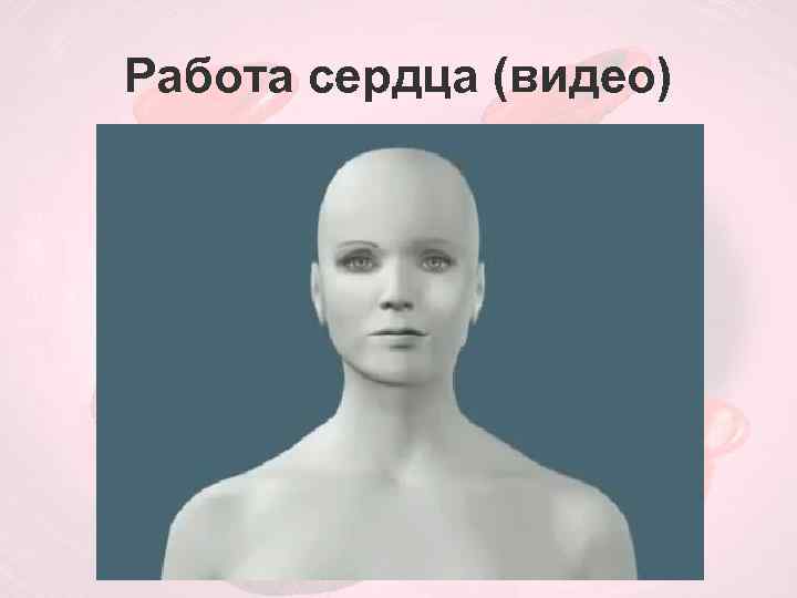 Работа сердца (видео) 