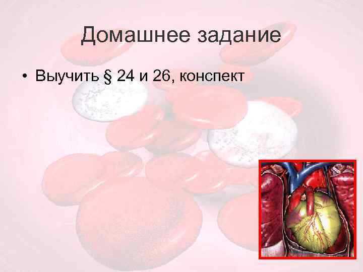 Домашнее задание • Выучить § 24 и 26, конспект 