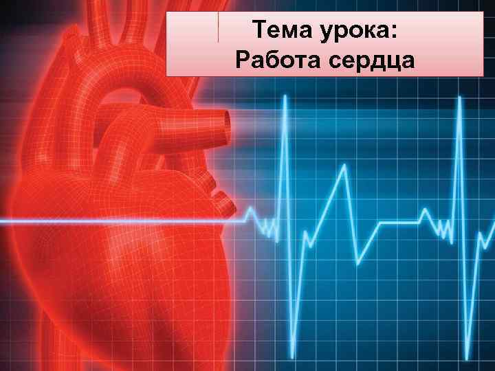 Тема урока: Работа сердца 