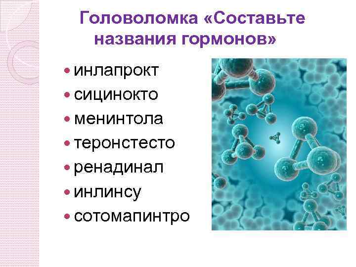 Головоломка «Составьте названия гормонов» инлапрокт сицинокто менинтола теронстесто ренадинал инлинсу сотомапинтро 