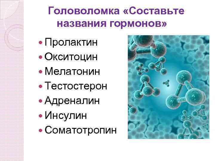 Головоломка «Составьте названия гормонов» Пролактин Окситоцин Мелатонин Тестостерон Адреналин Инсулин Соматотропин 