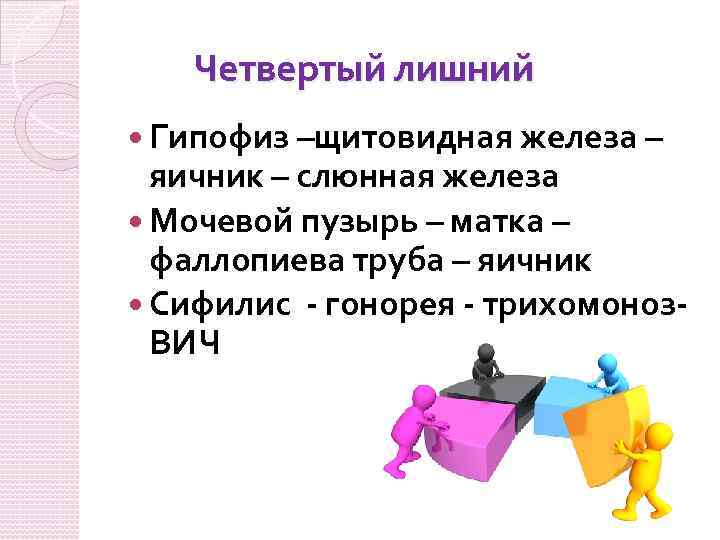 Четвертый лишний Гипофиз –щитовидная железа – яичник – слюнная железа Мочевой пузырь – матка