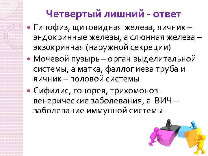 Четвертый лишний - ответ Гипофиз, щитовидная железа, яичник – эндокринные железы, а слюнная железа