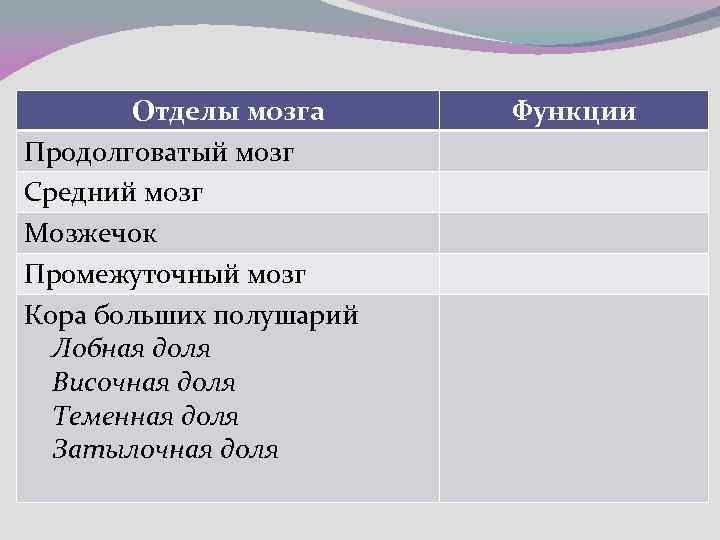 Отделы мозга Продолговатый мозг Средний мозг Мозжечок Промежуточный мозг Кора больших полушарий Лобная доля
