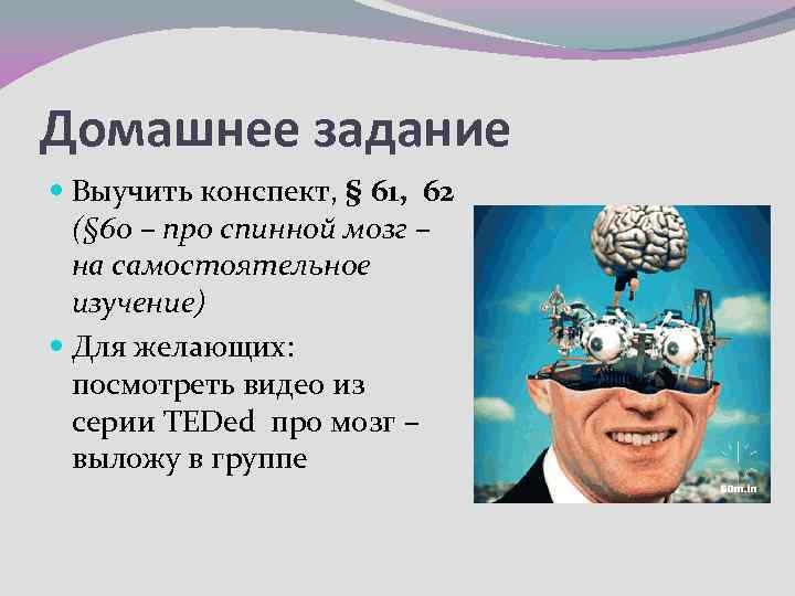 Домашнее задание Выучить конспект, § 61, 62 (§ 60 – про спинной мозг –