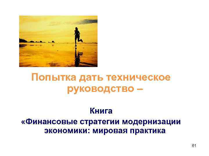 Попытка дать техническое руководство – Книга «Финансовые стратегии модернизации экономики: мировая практика 61 