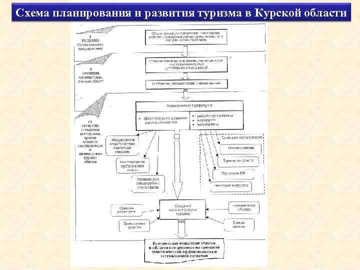 Схема планирования и развития туризма в Курской области 