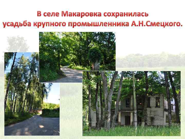 В селе Макаровка сохранилась усадьба крупного промышленника А. Н. Смецкого. 