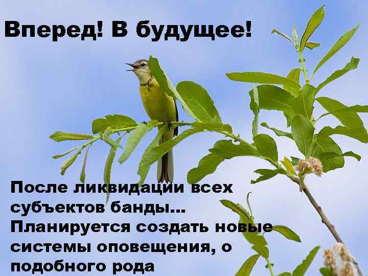 Вперед! В будущее! После ликвидации всех субъектов банды… Планируется создать новые системы оповещения, о