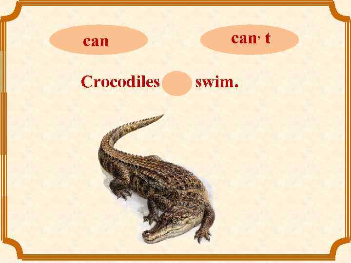 can can, t Crocodiles can swim. 