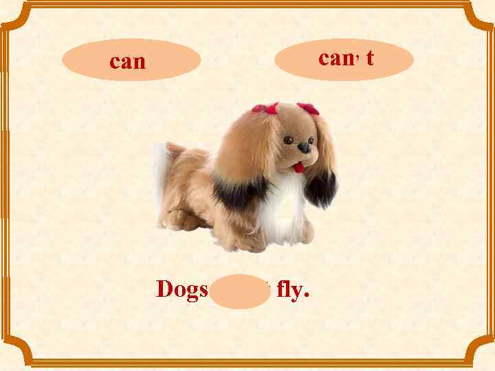 can, t can Dogs can, t fly. 