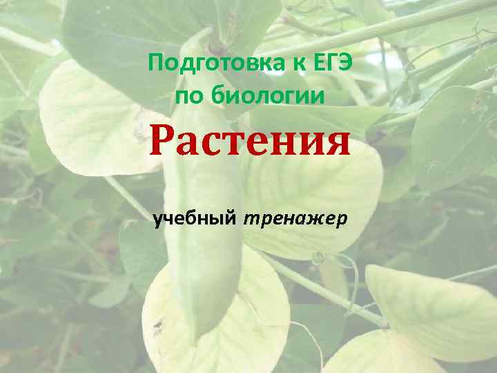 Подготовка к ЕГЭ по биологии Растения учебный тренажер 