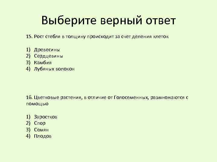 Рост в толщину происходит за счет