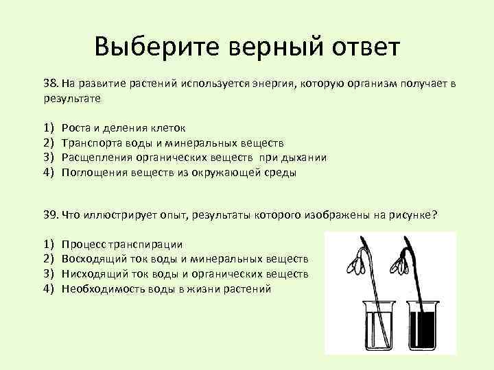 Выберите верный ответ 38. На развитие растений используется энергия, которую организм получает в результате