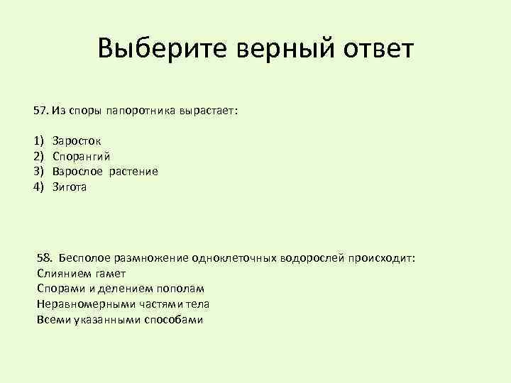 Выберите верный ответ 57. Из споры папоротника вырастает: 1) 2) 3) 4) Заросток Спорангий