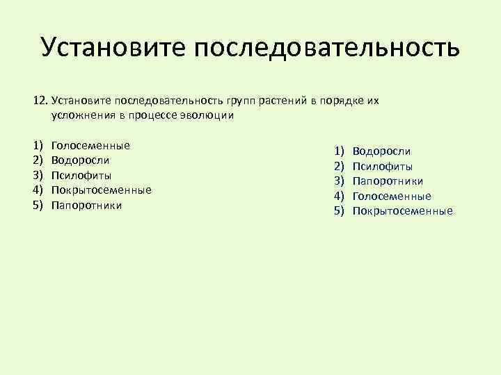 Установите последовательность организмов