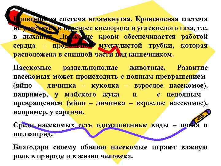 Кровеносная система незамкнутая. Кровеносная система не участвует в переносе кислорода и углекислого газа, т.
