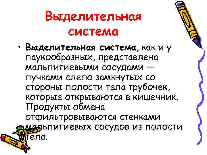 Выделительная система • Выделительная система, как и у паукообразных, представлена мальпигиевыми сосудами — пучками