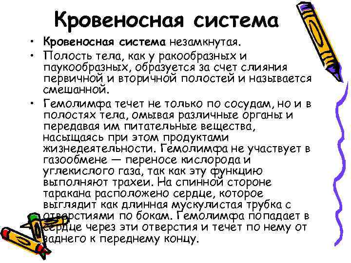 Кровеносная система • Кровеносная система незамкнутая. • Полость тела, как у ракообразных и паукообразных,