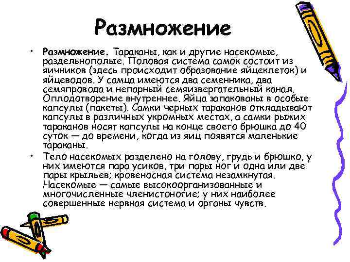 Размножение • Размножение. Тараканы, как и другие насекомые, раздельнополые. Половая система самок состоит из