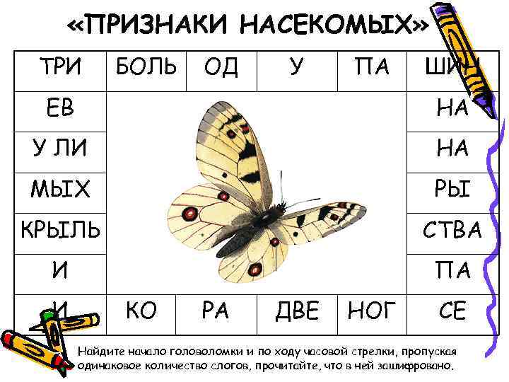  «ПРИЗНАКИ НАСЕКОМЫХ» ТРИ БОЛЬ ОД У ПА ШИН ЕВ НА У ЛИ НА