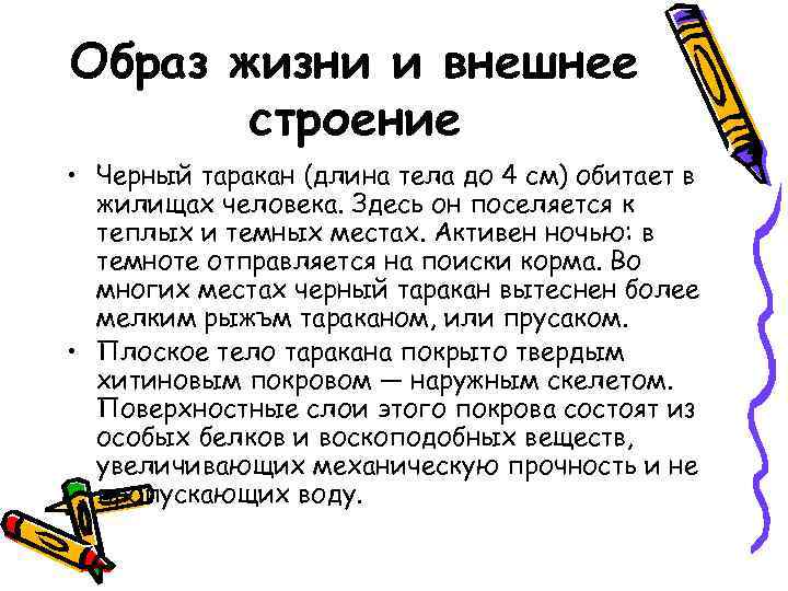 Образ жизни и внешнее строение • Черный таракан (длина тела до 4 см) обитает